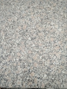Granit-Platten-Fliesen-Kandare-Projekt der rosaroten neuen Perlen-Blumen-G383