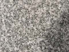 Billigerer neuer G654 dunkelgrauer Granit