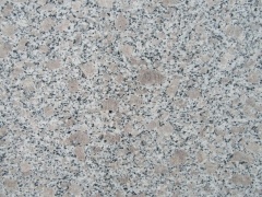 Blume G383 grauer Granit