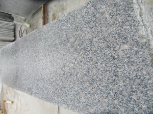 Polierte Perle Blume G383 Granit Wandverkleidung Fliesen