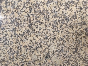 China-Chrysanthemen-Gelb-Granit-Platte