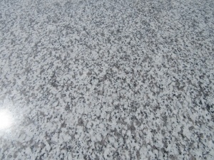 Chinesischer weißer Granit Neuer G439 Jilin weißer Granit