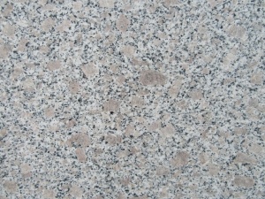  G383 Perle Blume grau Granit beliebteste Fliese
